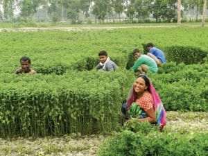 Mars reduce emisiile de carbon cu 1,9% şi lansează un fond de 250 milioane dolari pentru inovaţii sustenabile